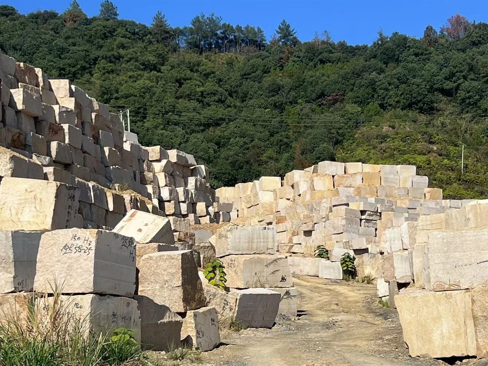 page-1702-1276, from the company's Chrysanthemum Yellow Granite page